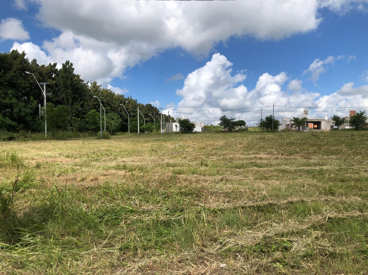 Terrenos de 300 m2 en Loteo Altos del Paracao 2