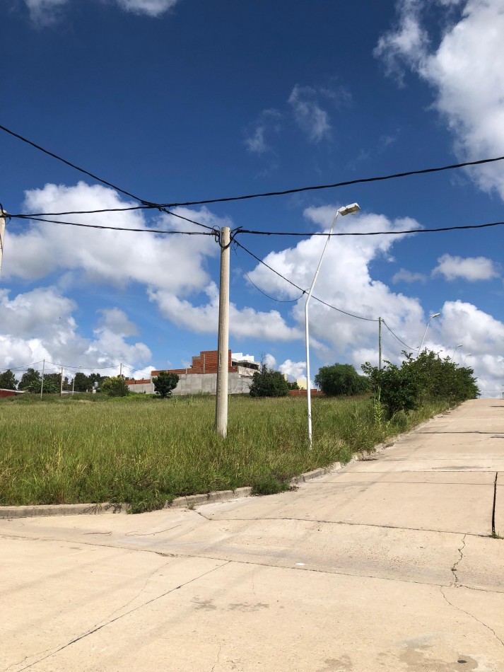 Terrenos de 300 m2 en Loteo Altos del Paracao 3