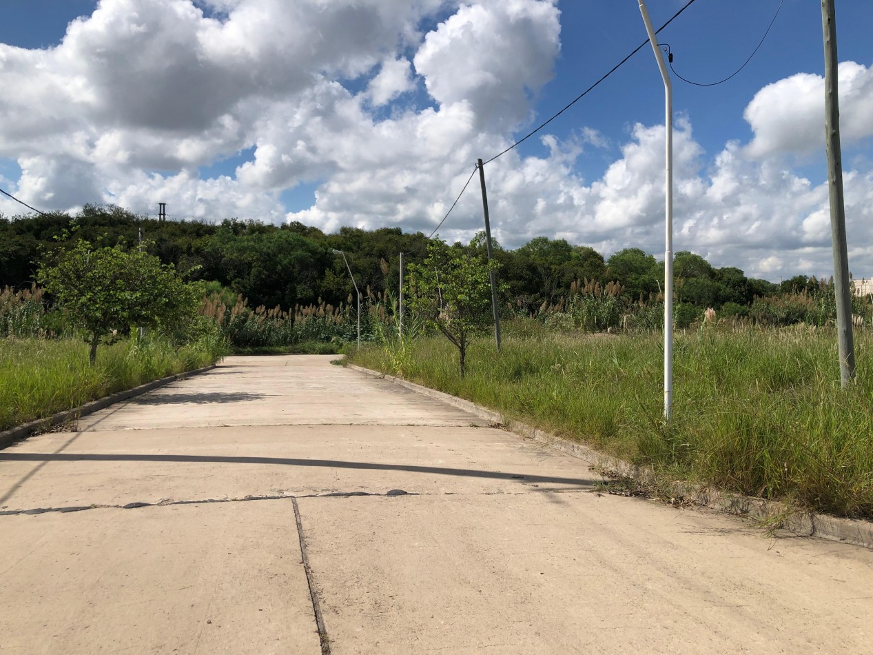 Terrenos de 300 m2 en Loteo Altos del Paracao 3