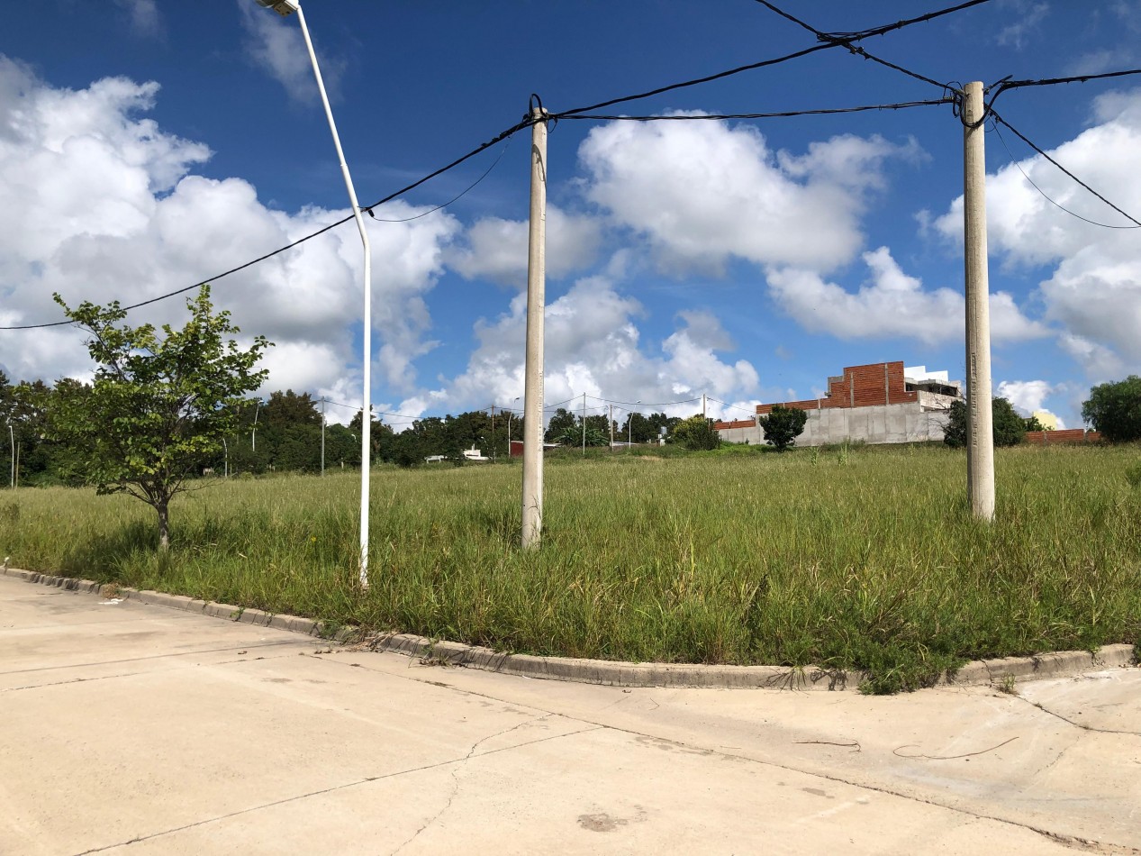 Terrenos de 300 m2 en Loteo Altos del Paracao 3