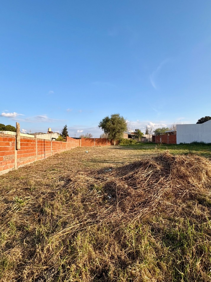 Terreno en San Benito